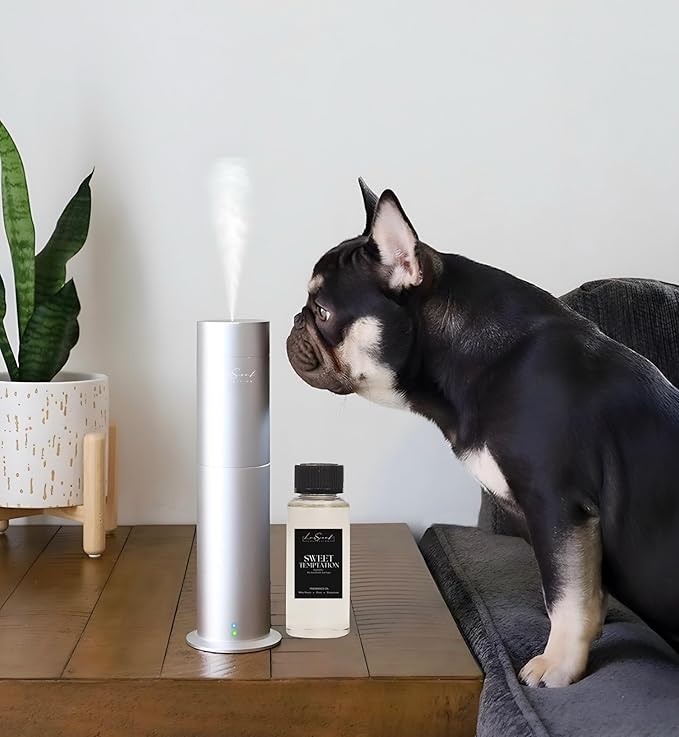Aroma Scent Diffuser Starter Kit for Up to 1000SQ. FT. Coverage - 120ML Waterless Essential Oil Scent Included - Luxury Aroma Diffuser Ideal for Home, Office & Hotel (Silver, Sweet Temptation)